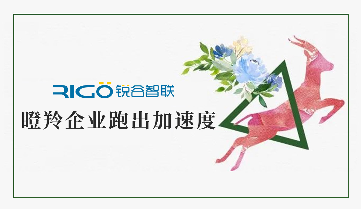 火炬高新區助力“瞪羚”企業跑出加速度，超半數分布廈門軟件園